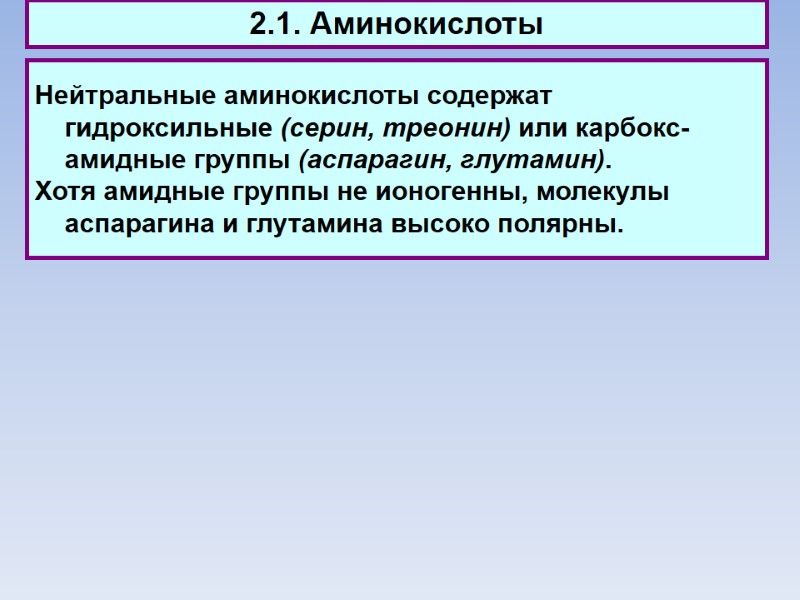 2.1. Аминокислоты Нейтральные аминокислоты содержат гидроксильные (серин, треонин) или карбокс-амидные группы (аспарагин, глутамин). 